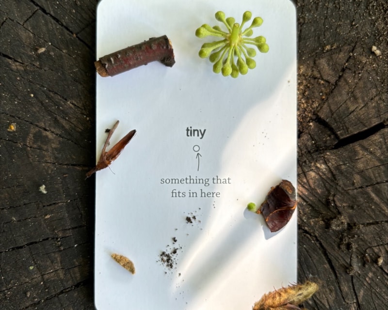 Discovery Activities